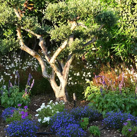 Alivi Di Santa Giulia 4* Porto-Vecchio (Corsica)