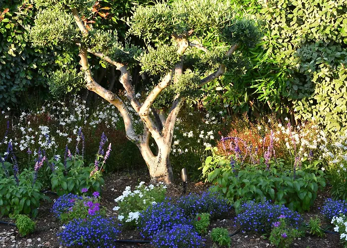 Alivi Di Santa Giulia 4* Порто-Веккьо