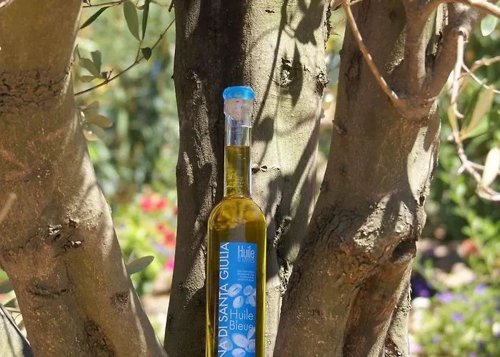 Hotel Alivi Di Santa Giulia